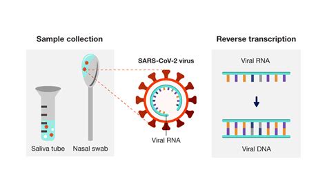 original pcr test